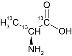 CC63P