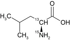 CCN1510P025