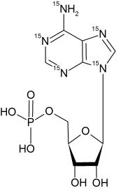 CN6260P01