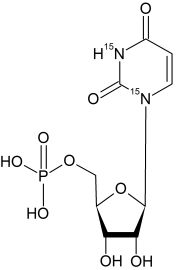 CN6275P01