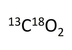 G-13C18O2-97-1