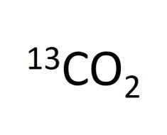 G-13CO2-10-1