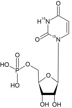 CN6275P01