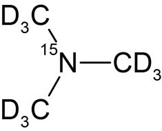G-Trimethyl-Amine-15ND